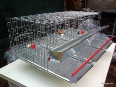 1536479_701448863222692_317356709_n.jpg (135.95 KiB) Osservato 953 volte 1536479_701448863222692_317356709_n.jpg