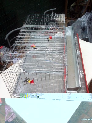 1620624_701449003222678_2098689916_n.jpg (126.8 KiB) Osservato 953 volte 1620624_701449003222678_2098689916_n.jpg