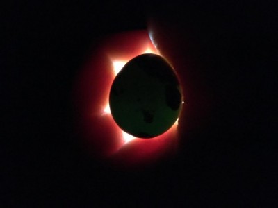 IMG_6681.JPG (26.24 KiB) Osservato 951 volte IMG_6681.JPG