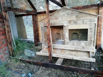 Interno pollaio / IMG_20190625_202845.jpg IMG_20190625_202845.jpg