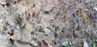 B8E5C236-AA82-4EA1-86BB-C41ADB35743D.jpeg (134.02 KiB) Osservato 2862 volte B8E5C236-AA82-4EA1-86BB-C41ADB35743D.jpeg