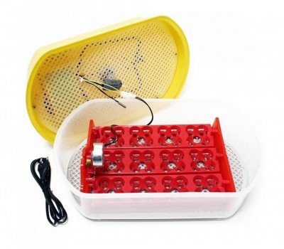 Screenshot_20200418-170236_Amazon Shopping.jpg (78.66 KiB) Osservato 1221 volte Screenshot_20200418-170236_Amazon Shopping.jpg