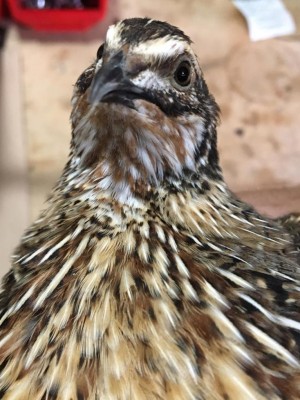 quì c'è la schiuma / 3843d13d-123b-4272-8d0c-b87d56f3f2a5.jpg 3843d13d-123b-4272-8d0c-b87d56f3f2a5.jpg