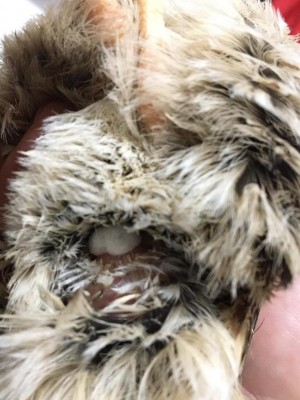 de7ceb15-0b06-4929-838c-7de2e04b73bc.jpg (91.92 KiB) Osservato 791 volte de7ceb15-0b06-4929-838c-7de2e04b73bc.jpg