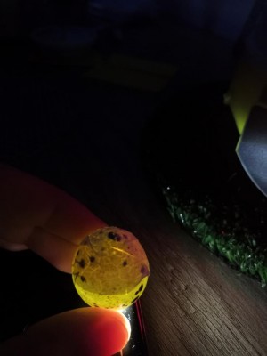 IMG_20200423_232855.jpg (41.17 KiB) Osservato 918 volte IMG_20200423_232855.jpg