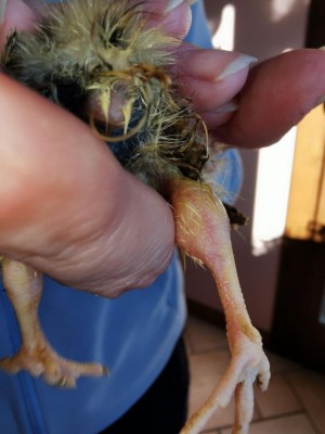 photo_2022-02-22_16-06-25.jpg (61.58 KiB) Osservato 2303 volte photo_2022-02-22_16-06-25.jpg