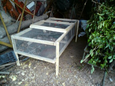 sDSC00487.jpg (359.63 KiB) Osservato 744 volte sDSC00487.jpg