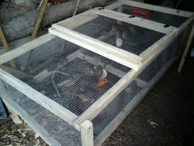 sDSC00488.jpg (350.17 KiB) Osservato 744 volte sDSC00488.jpg