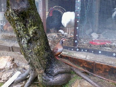 2013-03-27 12.02.48.jpg (150.8 KiB) Osservato 959 volte 2013-03-27 12.02.48.jpg