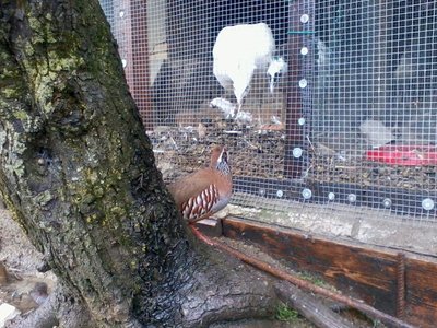 2013-03-27 12.02.58.jpg (150.99 KiB) Osservato 959 volte 2013-03-27 12.02.58.jpg