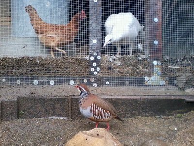 2013-03-27 12.03.09.jpg (143.74 KiB) Osservato 959 volte 2013-03-27 12.03.09.jpg