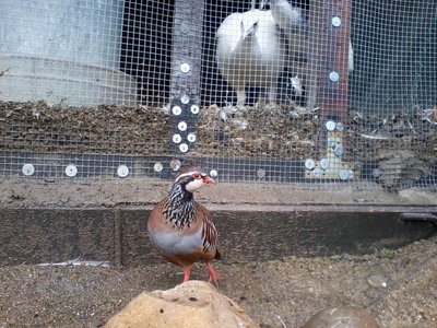 2013-03-27 12.03.15.jpg (145.24 KiB) Osservato 959 volte 2013-03-27 12.03.15.jpg