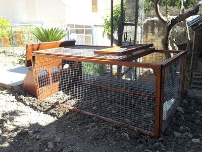 gabbia_quaglie1.jpg (236.35 KiB) Osservato 1467 volte gabbia_quaglie1.jpg