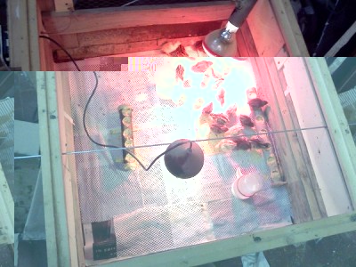 3.jpg (131.74 KiB) Osservato 2099 volte 3.jpg