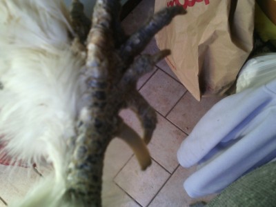 IMG_20150407_174823.jpg (104.93 KiB) Osservato 874 volte IMG_20150407_174823.jpg