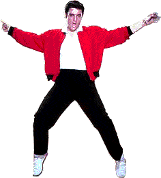 elvis14.gif elvis14.gif