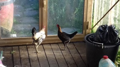 20170520_191857.jpg (76.87 KiB) Osservato 1611 volte 20170520_191857.jpg