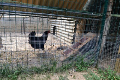 Spazio-esterno-pulcini.jpg (329.24 KiB) Osservato 1192 volte Spazio-esterno-pulcini.jpg