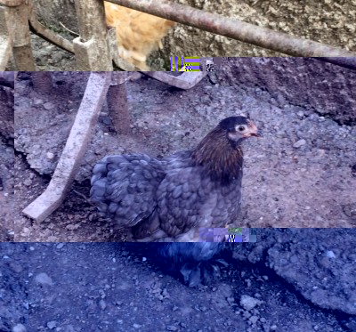 foto1.jpeg (184.88 KiB) Osservato 950 volte foto1.jpeg