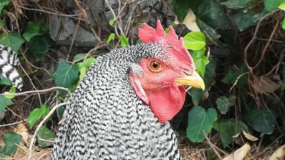 Sogg. N. 2 / IMG_20180529_085138.jpg IMG_20180529_085138.jpg