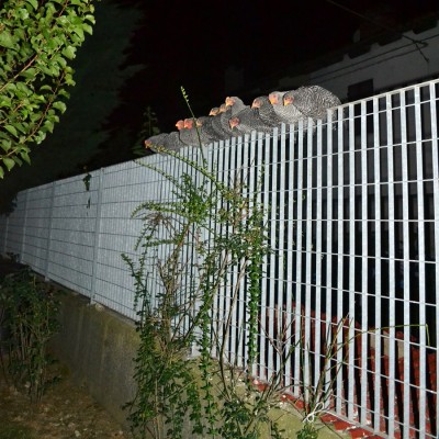 Amrocks-comodi.jpg (310.6 KiB) Osservato 2491 volte Amrocks-comodi.jpg