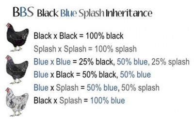 cache_12634667.jpeg (25.58 KiB) Osservato 967 volte cache_12634667.jpeg