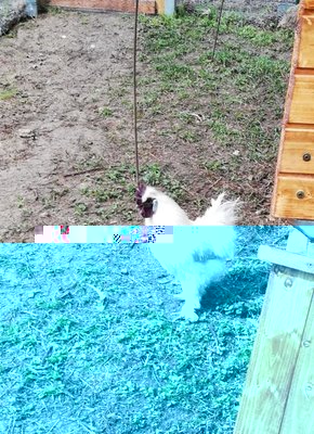 IMG_20190412_124648.jpg (191.41 KiB) Osservato 715 volte IMG_20190412_124648.jpg