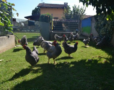 Amrocks.jpg (149.35 KiB) Osservato 1644 volte Amrocks.jpg