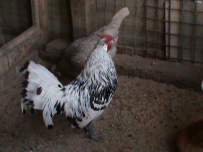 Amburgo 2013 14.JPG (149.67 KiB) Osservato 755 volte Amburgo 2013 14.JPG