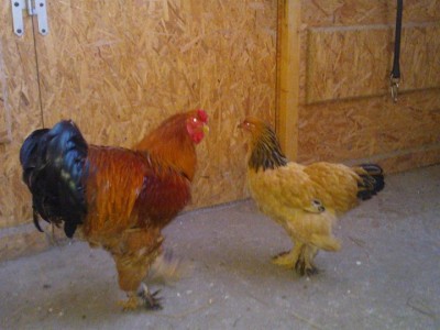 Appena presi / 1230000_10200313845080300_618730879_n.jpg 1230000_10200313845080300_618730879_n.jpg