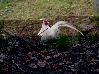 2.jpg (41.64 KiB) Osservato 1414 volte 2.jpg