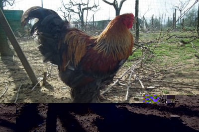 002.JPG (200.78 KiB) Osservato 894 volte 002.JPG