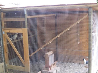 voliera.jpg (272.18 KiB) Osservato 932 volte voliera.jpg