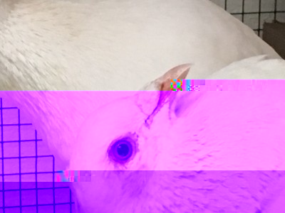 image.jpeg (77.13 KiB) Osservato 2164 volte image.jpeg