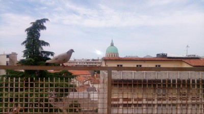 P_20180708_095354.jpg (73.22 KiB) Osservato 3538 volte P_20180708_095354.jpg