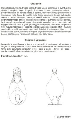 3.jpg (80.43 KiB) Osservato 4687 volte 3.jpg