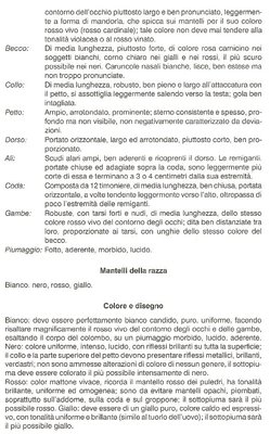 2.jpg (132.39 KiB) Osservato 4687 volte 2.jpg