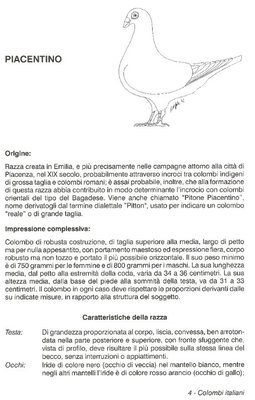 1.jpg (96.94 KiB) Osservato 4687 volte 1.jpg