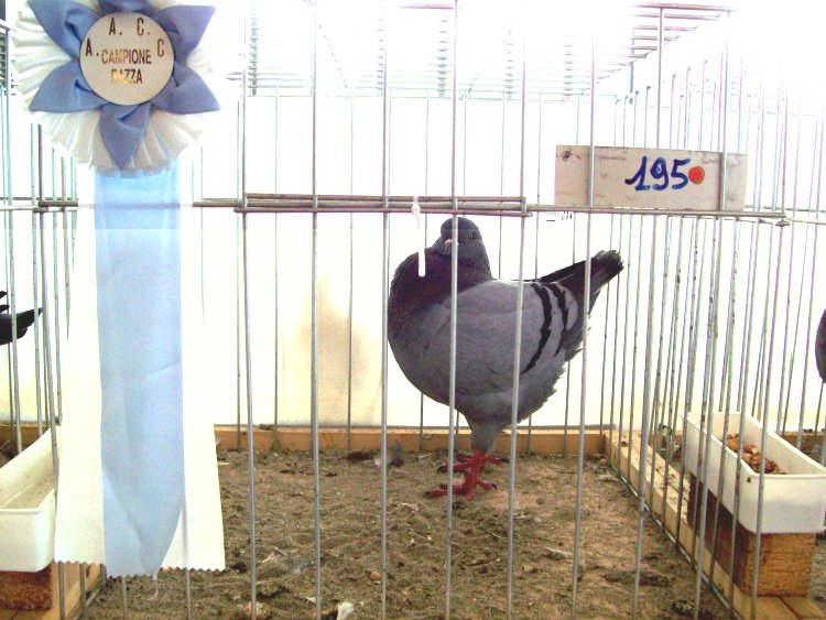 100_0701.JPG 100_0701.JPG