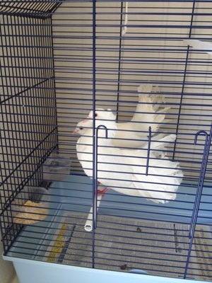 image.jpeg (188 KiB) Osservato 1806 volte image.jpeg