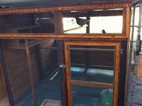 tn_IMG_0939.JPG tn_IMG_0939.JPG