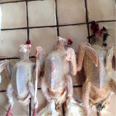 image.jpg (214.59 KiB) Osservato 1012 volte image.jpg