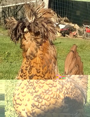 image.jpg (273.93 KiB) Osservato 972 volte image.jpg