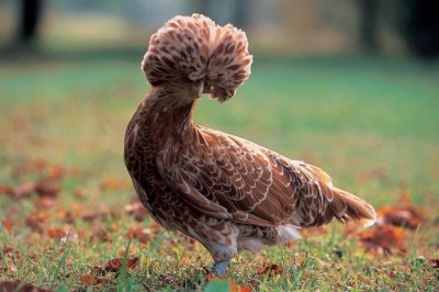 image.jpeg (79.74 KiB) Osservato 838 volte image.jpeg