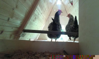 IMG-20160413-WA0000.jpg (57.51 KiB) Osservato 1757 volte IMG-20160413-WA0000.jpg