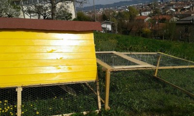 IMG-20160403-WA0006.jpg (126.46 KiB) Osservato 1757 volte IMG-20160403-WA0006.jpg