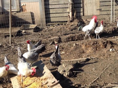 image.jpg (194.42 KiB) Osservato 637 volte image.jpg