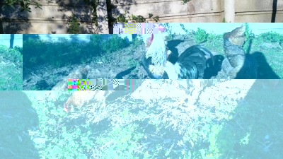 1488990434282972763438.jpg (135.39 KiB) Osservato 628 volte 1488990434282972763438.jpg