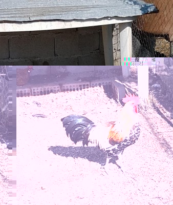 20170926_102824.jpg (203.38 KiB) Osservato 1259 volte 20170926_102824.jpg