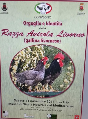 20171027_090215-1.jpg (116.28 KiB) Osservato 759 volte 20171027_090215-1.jpg